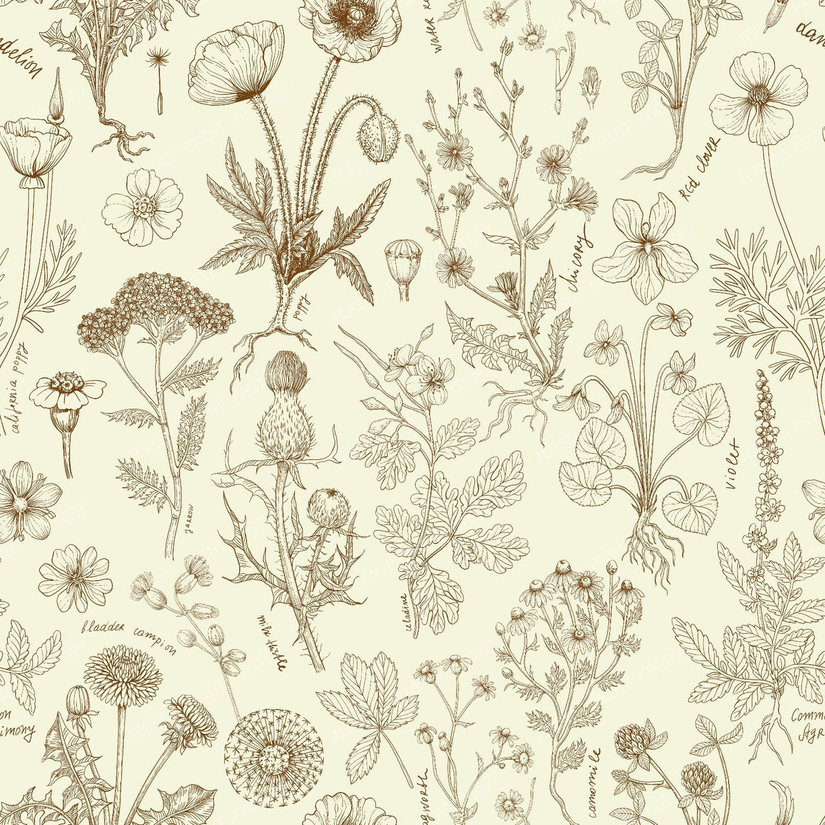 Wildflowers collage beige and sepia