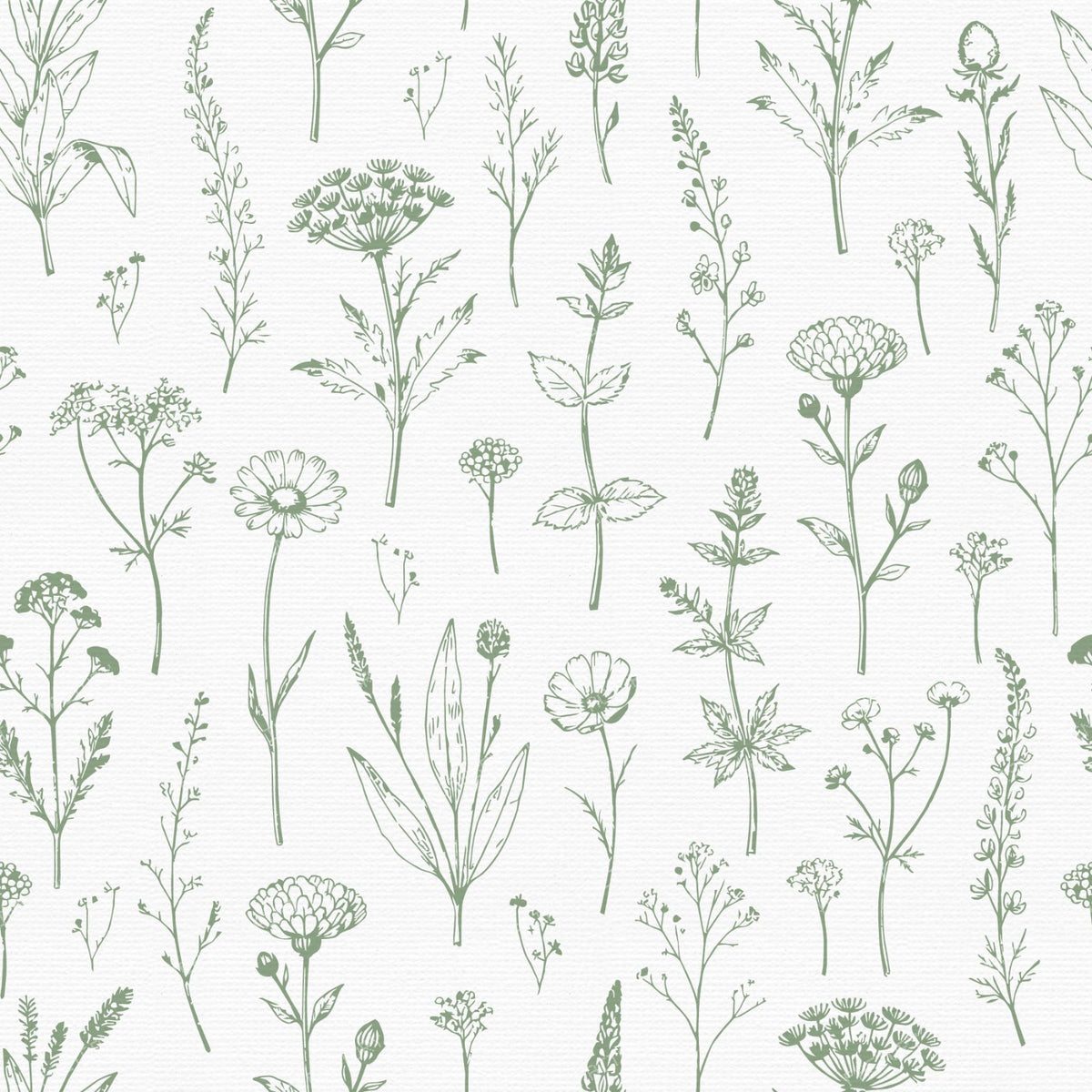 Wildflower Meadow Organic Vintage Botanicals - Mint Green — Mint Green and White