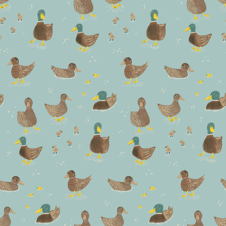 All My Ducks Blue