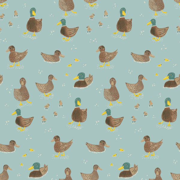 All My Ducks Blue