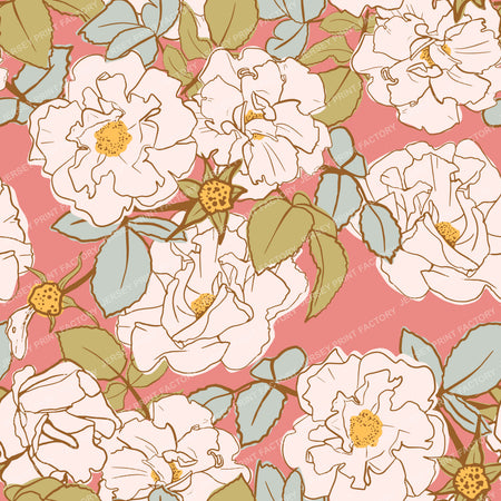 Blooming White Rose Garden