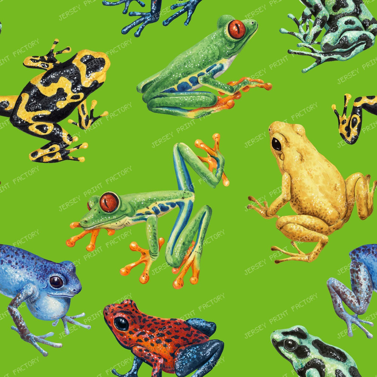Frogs — on green