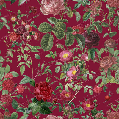 Red Roses Grandmillennial Floral Botanical Pattern on Burgundy