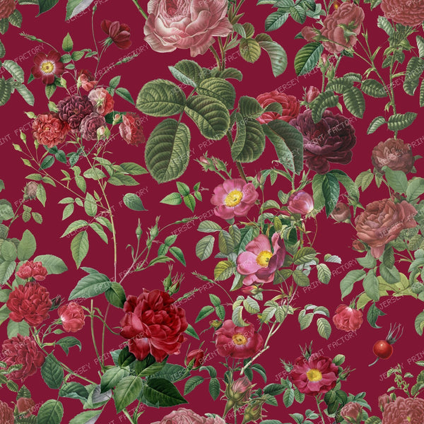 Red Roses Grandmillennial Floral Botanical Pattern on Burgundy