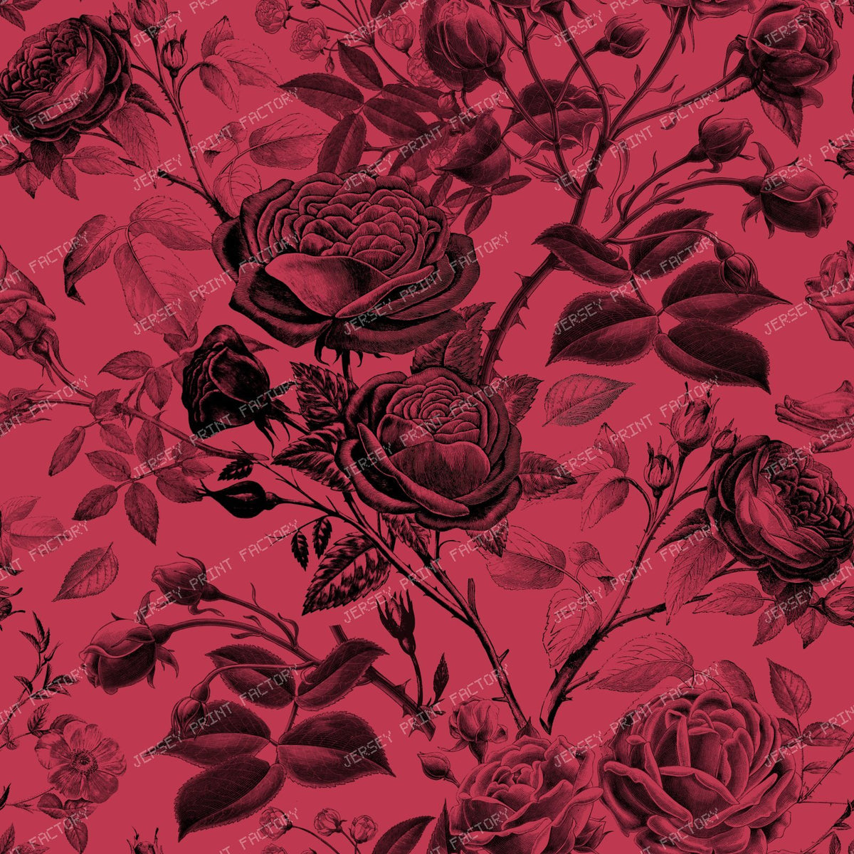 Pantone Winterberry
