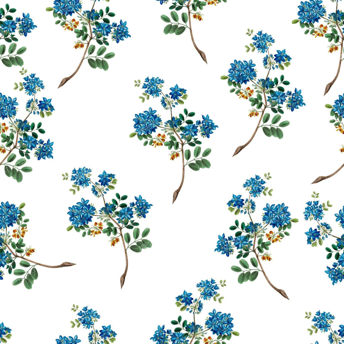 Blue Flowers, Guaiacum Flowers, Floral Pattern, Greenery