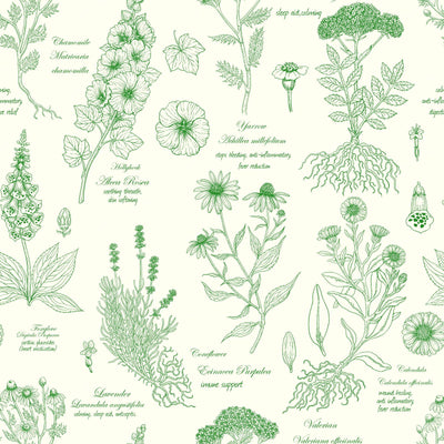 Medicinal Garden Herbarium