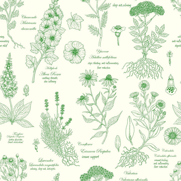 Medicinal Garden Herbarium