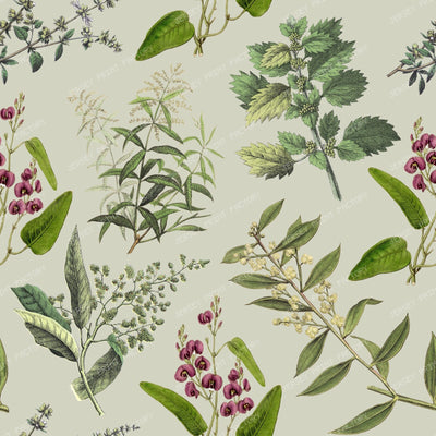 Herbs Cottagecore Floral Botanical Pattern on Sage Green