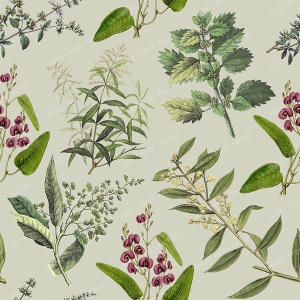 Herbs Cottagecore Floral Botanical Pattern on Sage Green