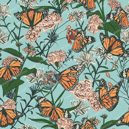 Monarch Butterfly Wildflower Garden