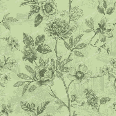 Country Roses Floral Vines Pen and Ink French Provincial - Spring Green
