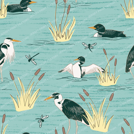Lake Birds Loons and Herons in Cattails with Dragonflies