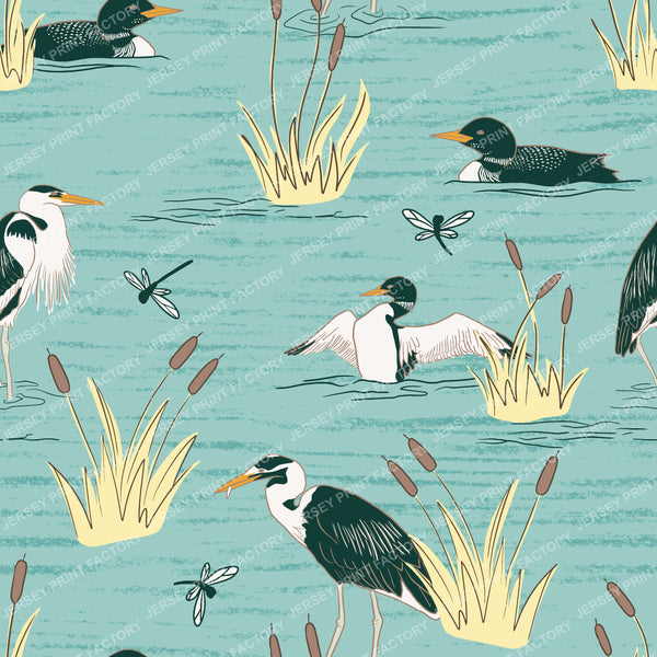 Lake Birds Loons and Herons in Cattails with Dragonflies