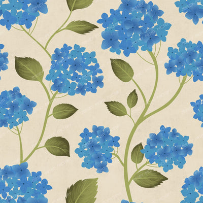 Blue Hydrangea Botanical