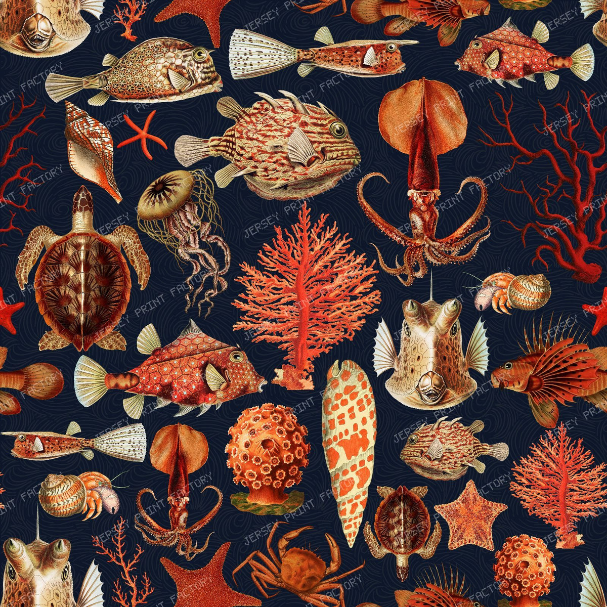 Vintage Marine Life Cabinet of Curiosities with Antique Ocean Creatures - Dark Blue