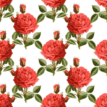 Red Roses, Red Flowers, Floral Pattern, Rosebud, Leaves
