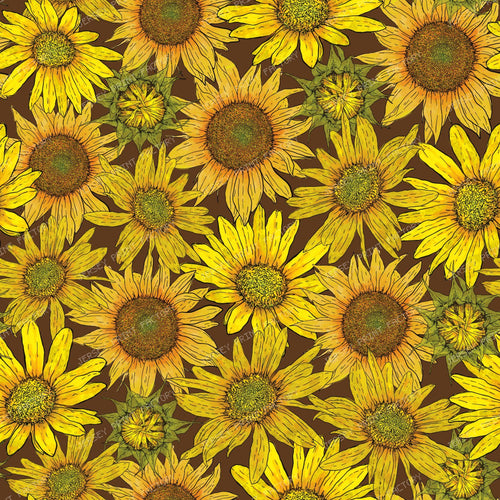 Summer Sunflowers on brown