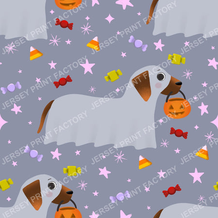 Trick Or Treat Dachshund Dog Halloweenie – Sheer Ghost On Grey
