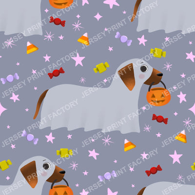 Trick Or Treat Dachshund Dog Halloweenie – Sheer Ghost On Grey
