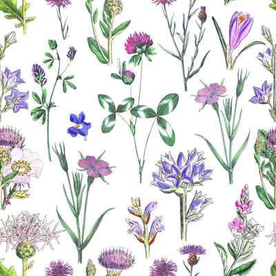 Blooming Meadow Colorful Floral Botanical pattern on White background