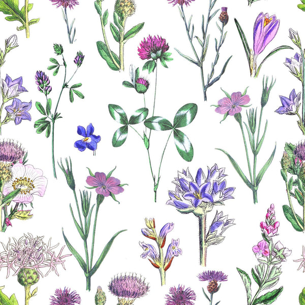 Blooming Meadow Colorful Floral Botanical pattern on White background