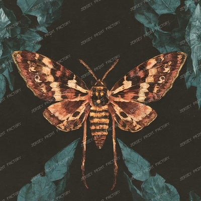 Gothic Moth Collage