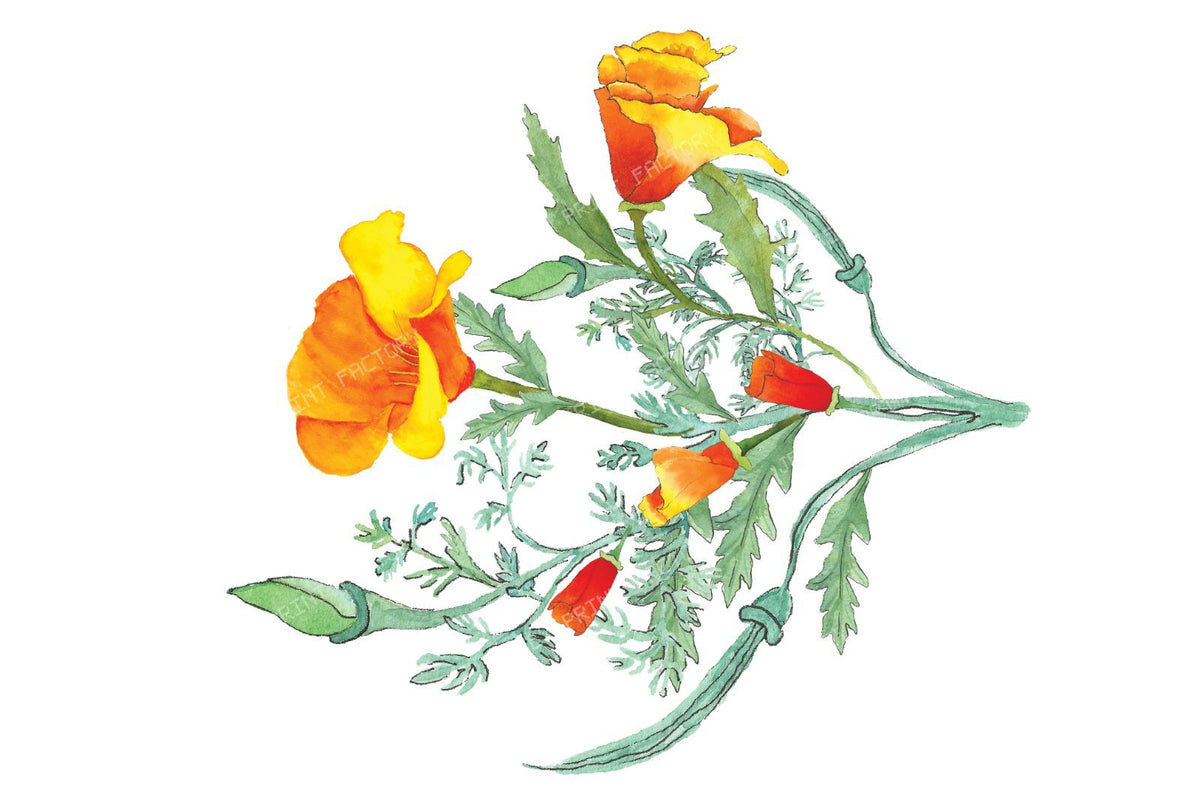 CA Poppy For Table Runner