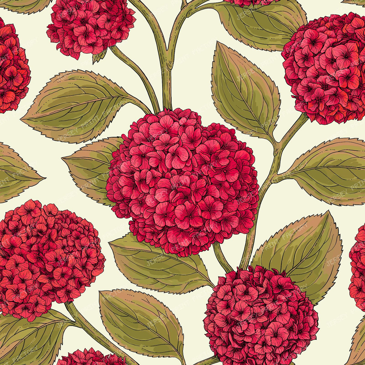 Hydrangea — in red and off white