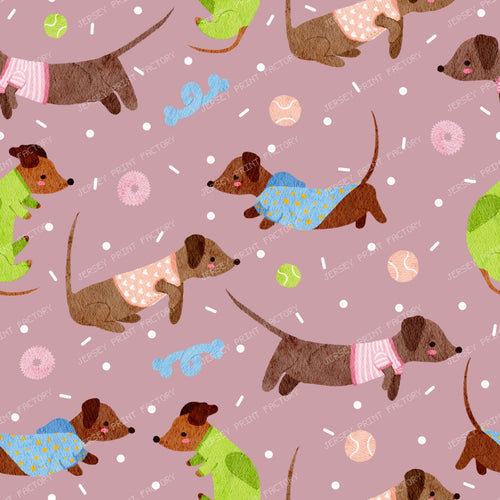 Playful dachshunds in cosy sweaters