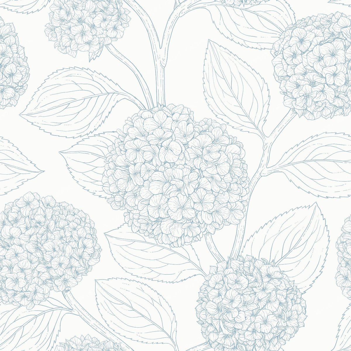 Hydrangea — in blue and off white