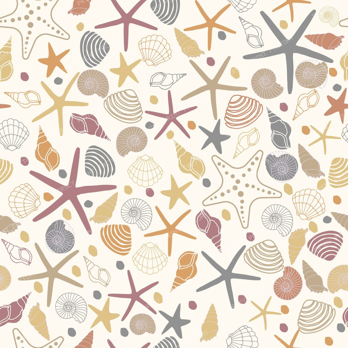 Colorful Seashells, Scallops, Conch Shells, Clam Shells, Starfish — Colorful 2