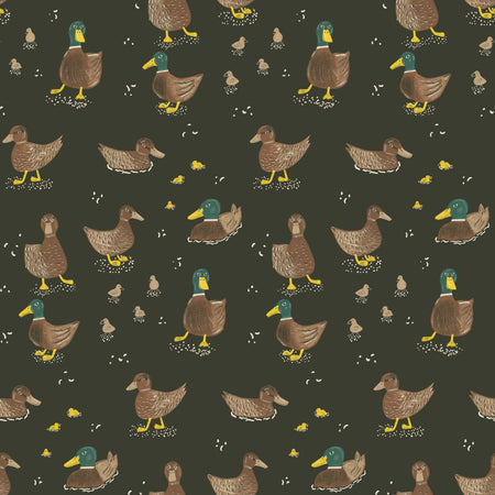 All My Ducks Dark