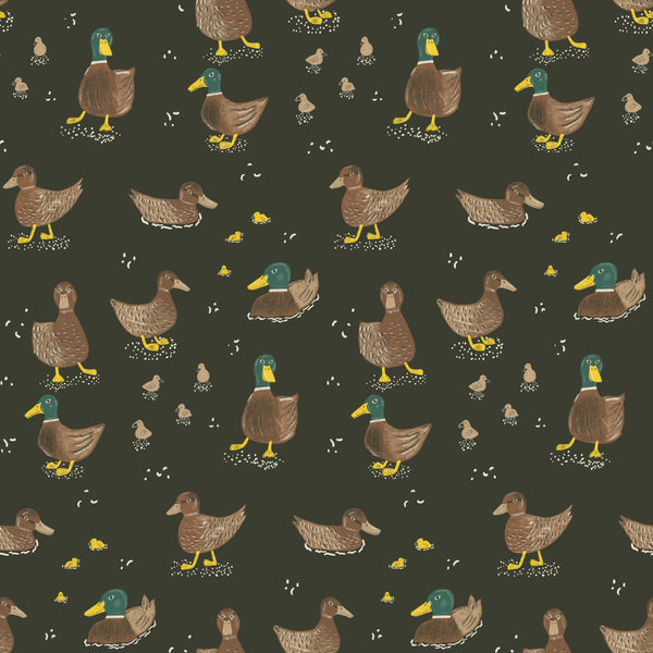All My Ducks Dark