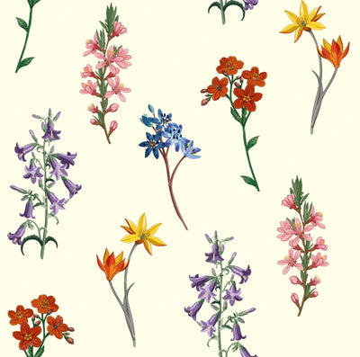 Vintage Botanical Wildflower Meadow Pattern