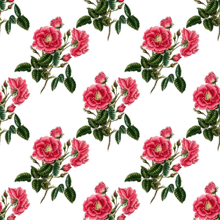 Pink Roses, Pink Flowers, Floral Pattern, Rosebud, Greenery, Leaves
