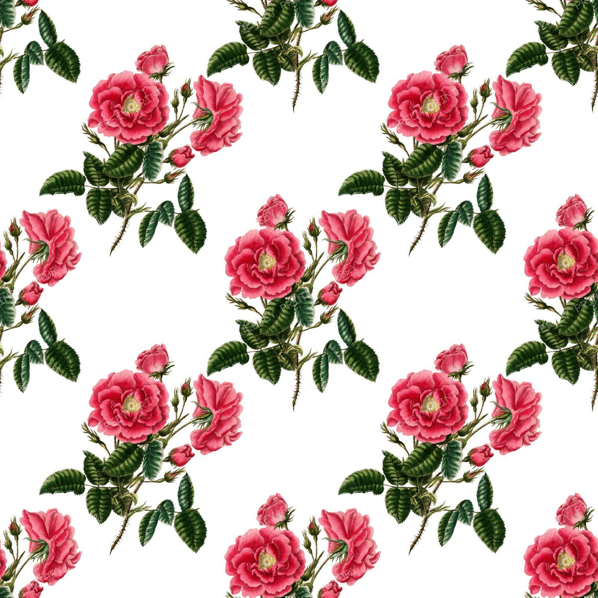 Pink Roses, Pink Flowers, Floral Pattern, Rosebud, Greenery, Leaves
