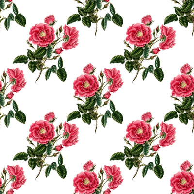 Pink Roses, Pink Flowers, Floral Pattern, Rosebud, Greenery, Leaves