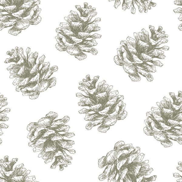 Pine Cone Tossed - Winter Woodland Rustic Cabincore - Sage Green — Sage Green and White