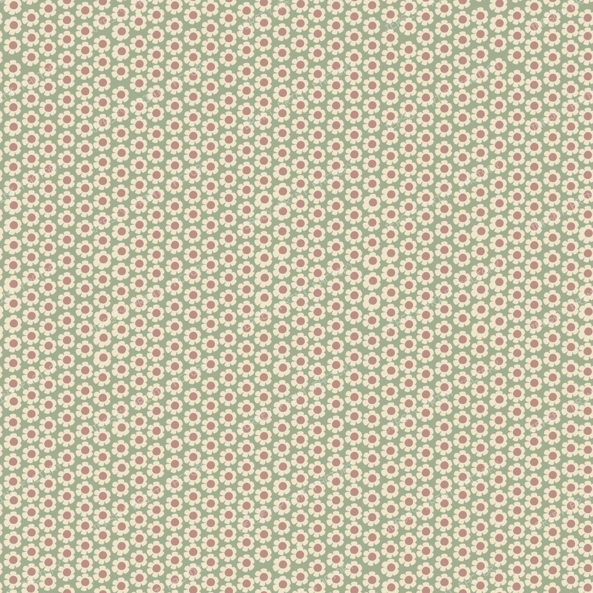 Lokma Pistachio