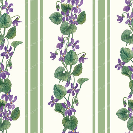 Stripes and violets in green and violet