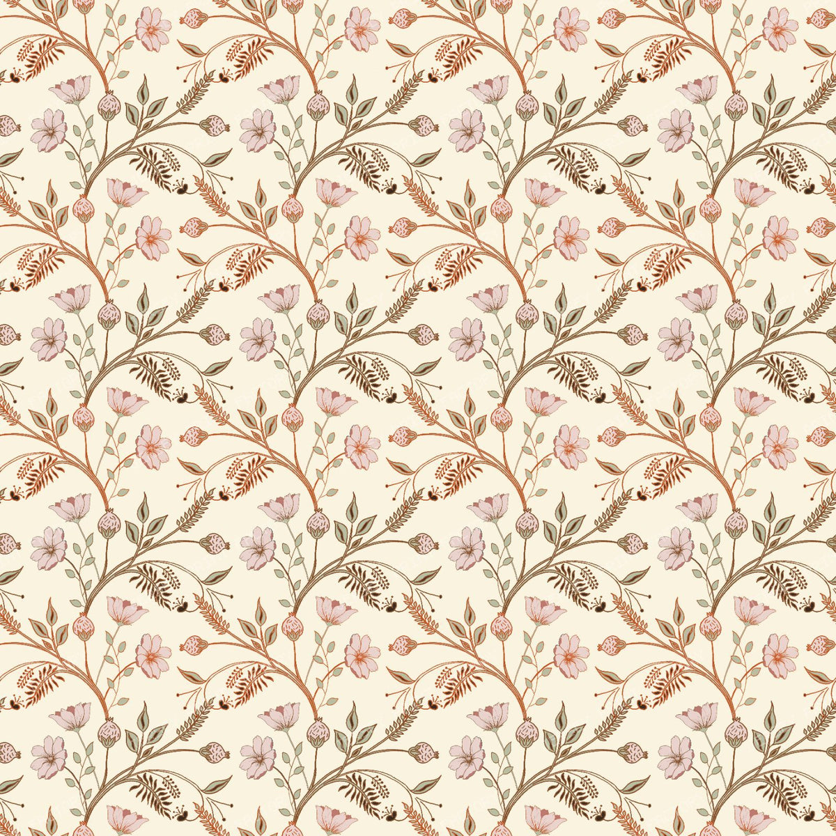 Cosmos  Chintz -  Cream