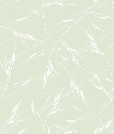 Dew