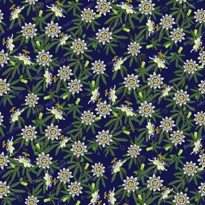 Passion Flower on Navy