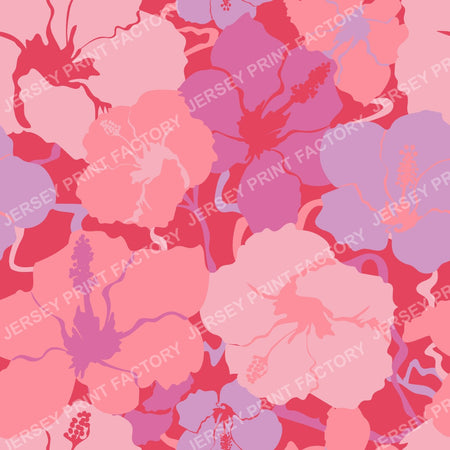Hawaiian Hibiscus Floral in Orchid Coral