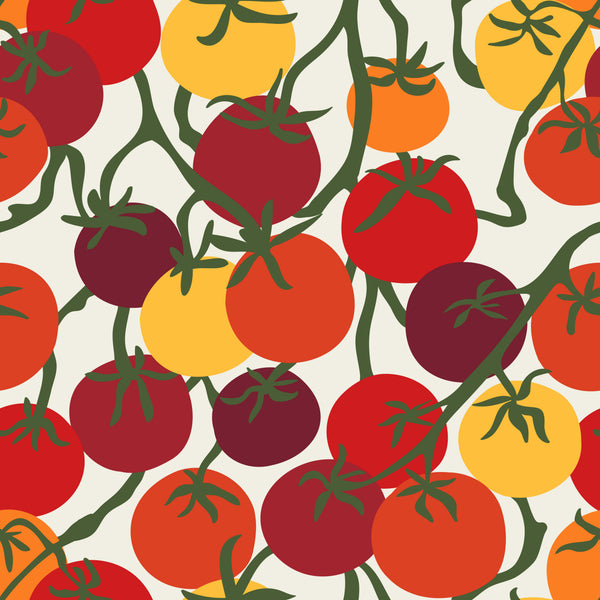 Tomatoes on the Vine in Cream and Warm Multi
