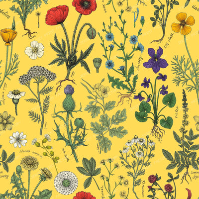 WIldflowers collage on mustardt