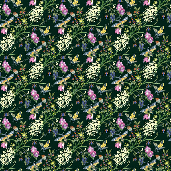 Midnight Entomologist - Deep Forest Green