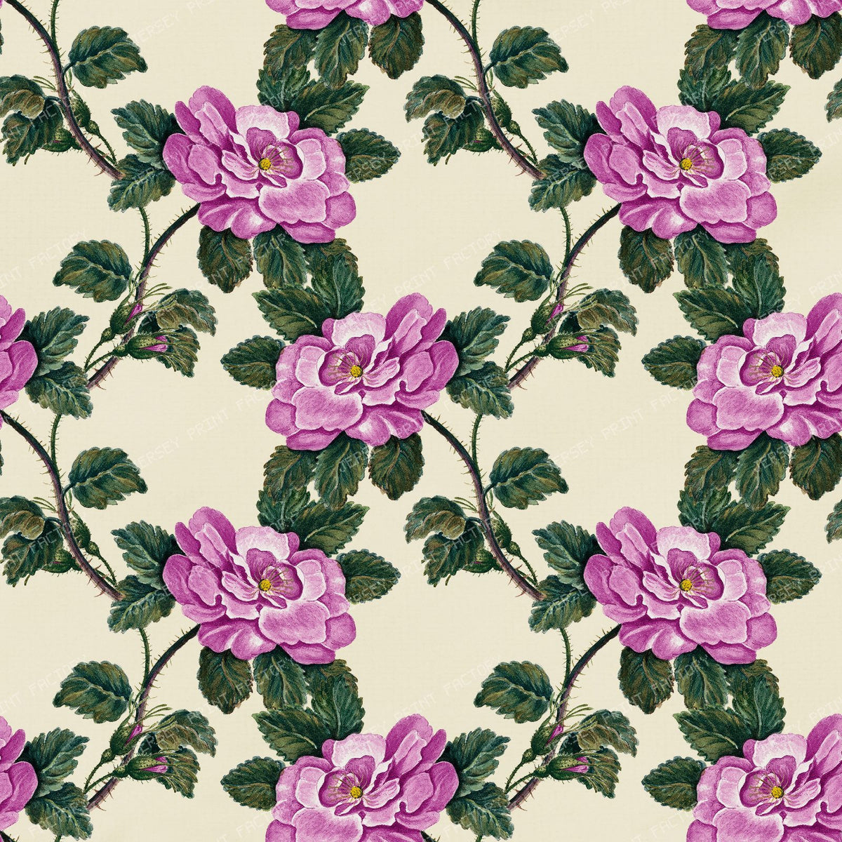 Pink Roses, Wild Roses, Pink Flowers, Floral Pattern, Boho — Purple 1