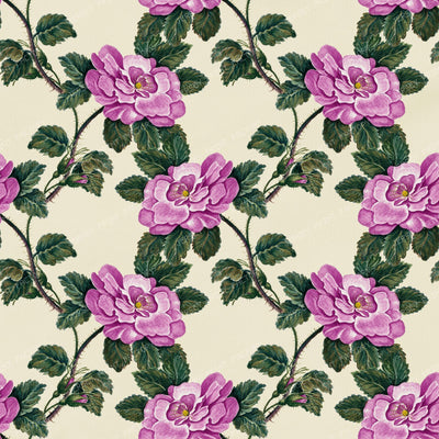 Pink Roses, Wild Roses, Pink Flowers, Floral Pattern, Boho — Purple 1